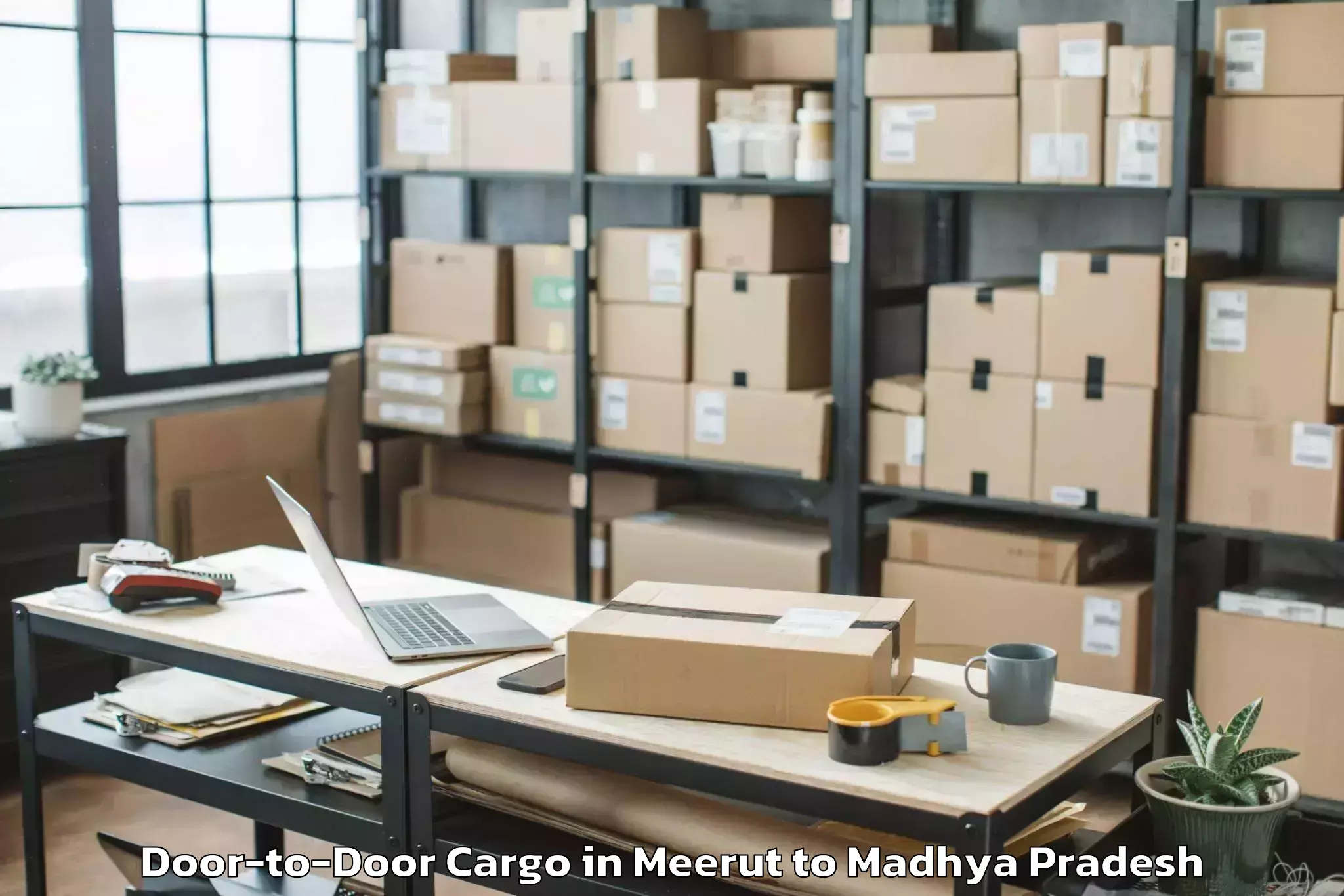 Get Meerut to Badnagar Door To Door Cargo